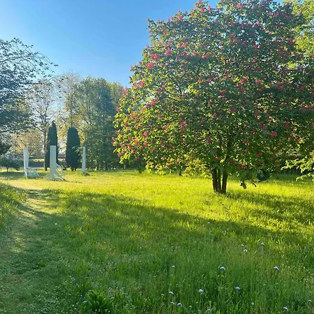 Im Garten Hude (Oldenburg)