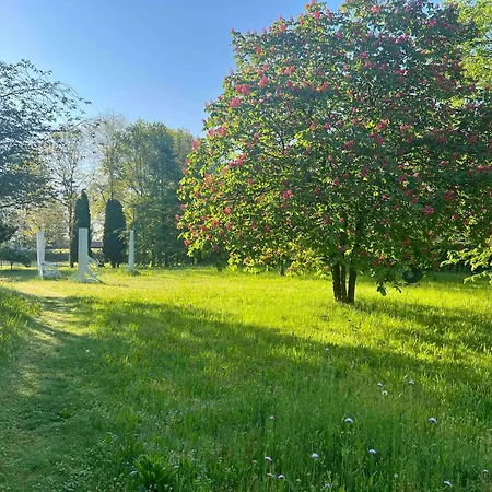 Im Garten Летний дом Hude (Oldenburg)